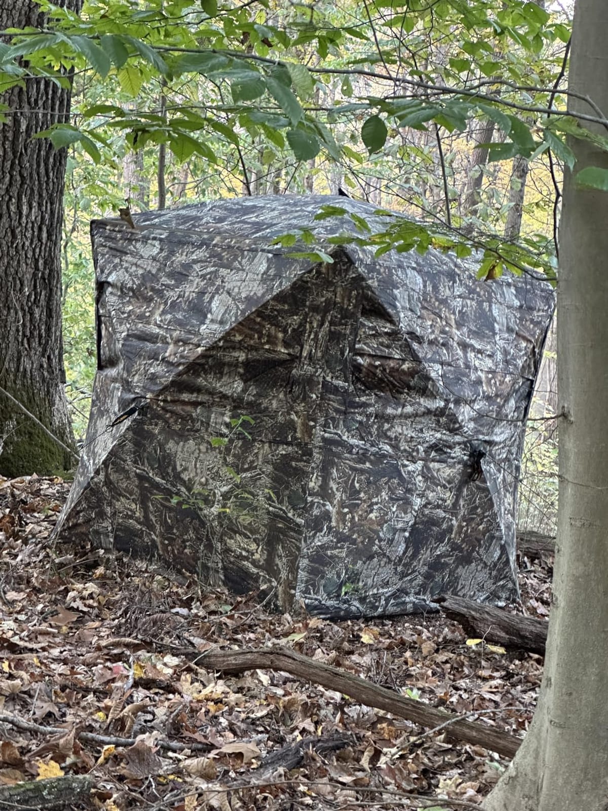 FLISSA Hunting Blind, 270/360 See-Through Ground Blind for Deer Hunting customer photo 1