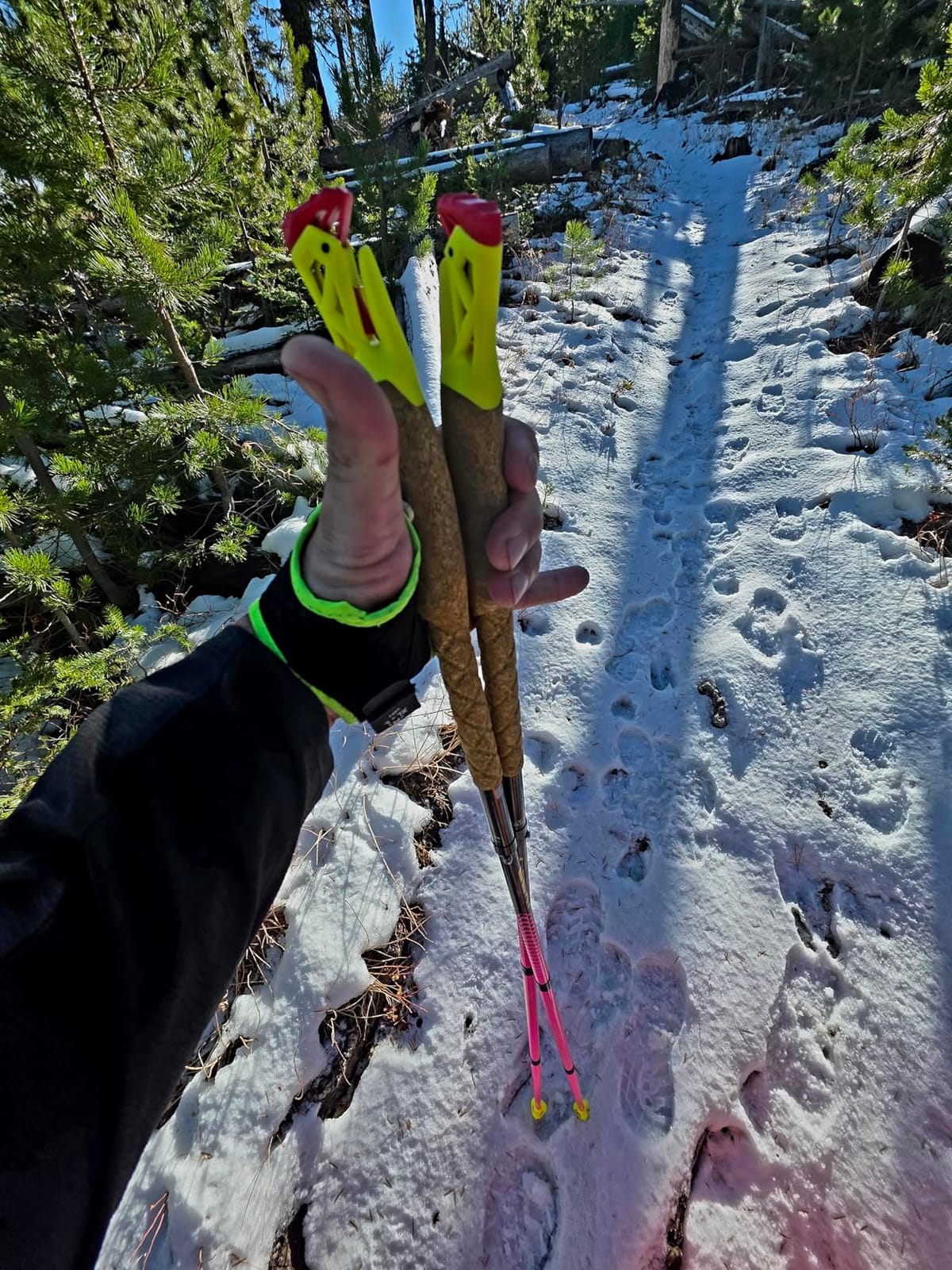 LEKI Ultratrail FX.One Trekking Poles customer photo 1