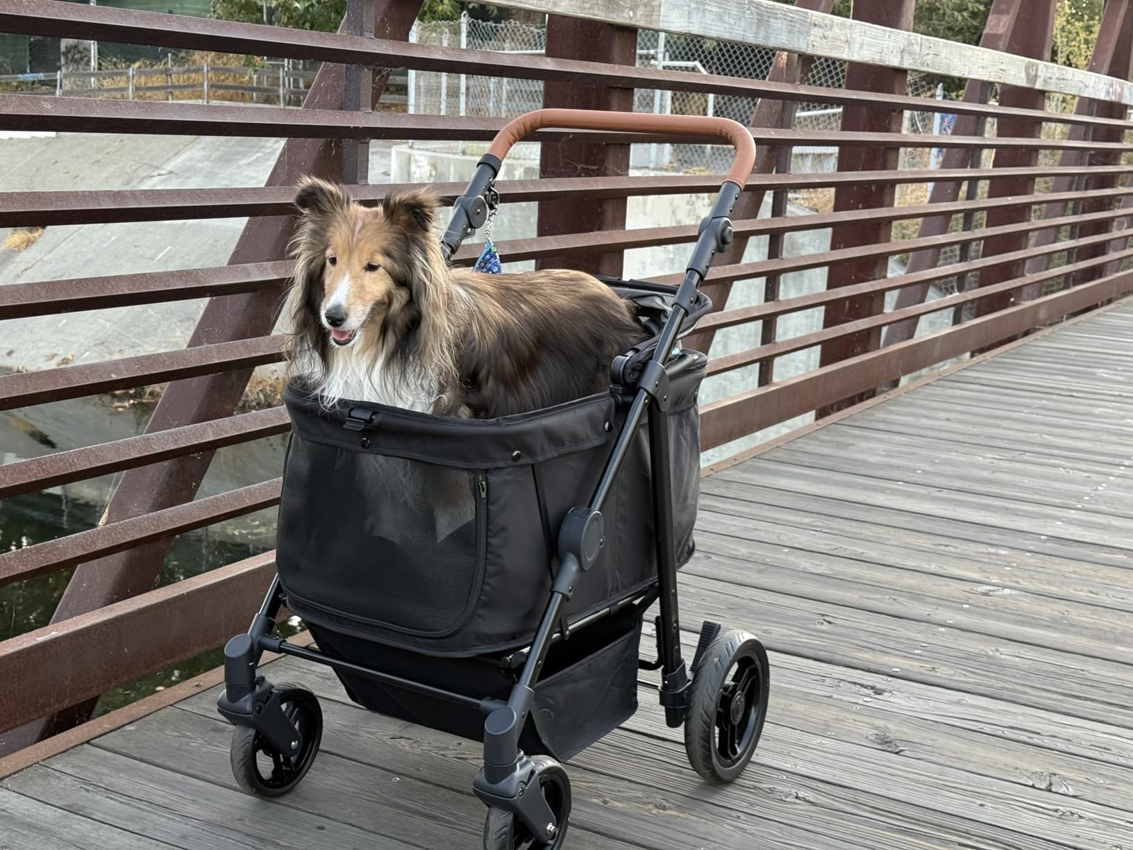 Zoosky Medium Dog Stroller for Large Dogs, Pet Stroller, Up to 66lbs customer photo 2