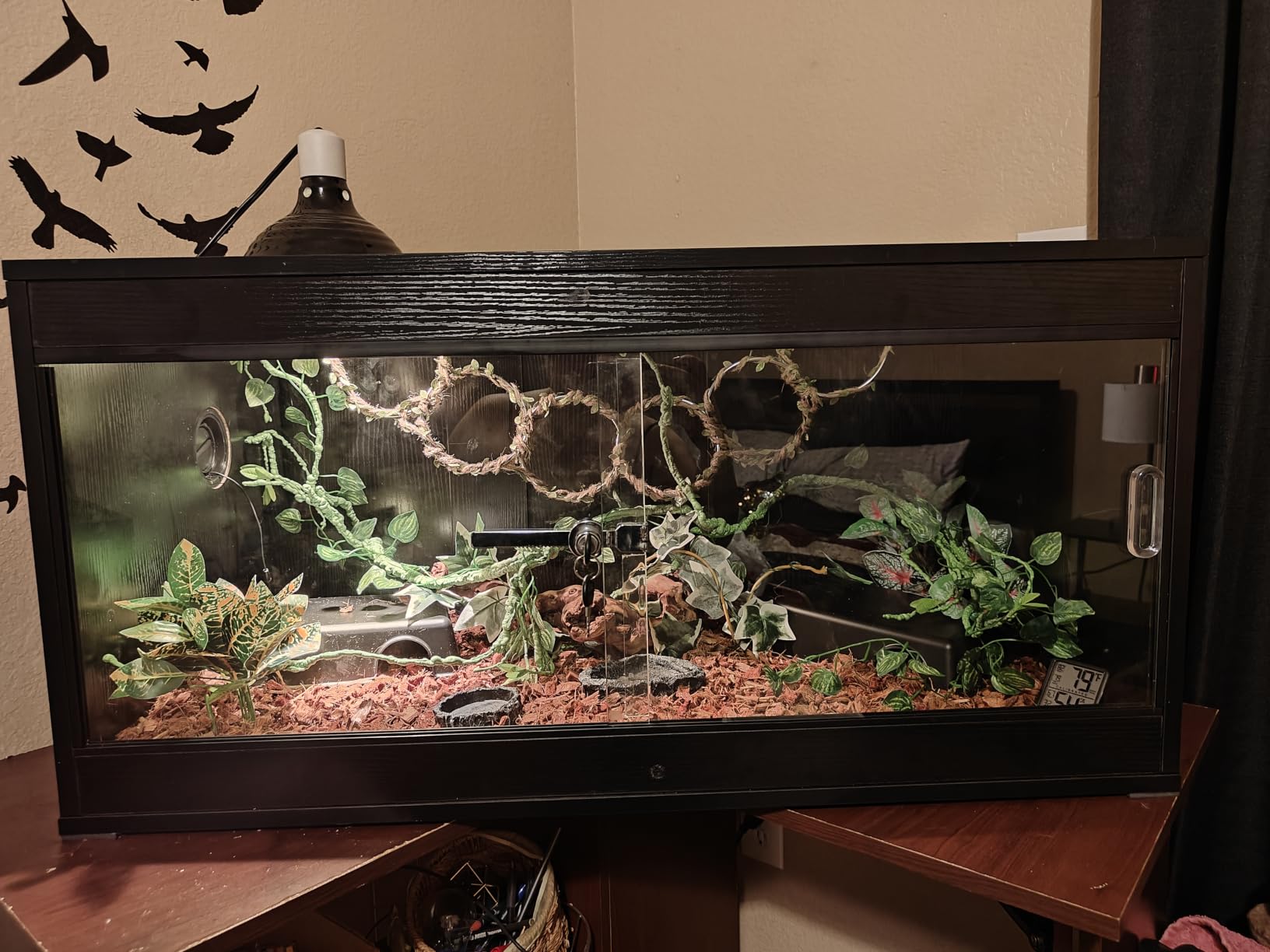 unipaws 110 Gallon Reptile Tank for Lizards, Bearded Dragon Enclosure Cage customer photo 2