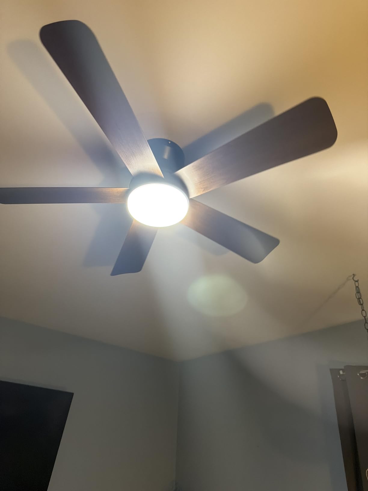 Depuley Modern Ceiling Fan with Light: 42-Inch Black Small Fans for Bedroom Indoor Outdoor - Dimmable Low Profile Ceiling Fans with Remote Control Flush Mount 5 Reversible Black Blades 6 Speeds Timer customer photo 2