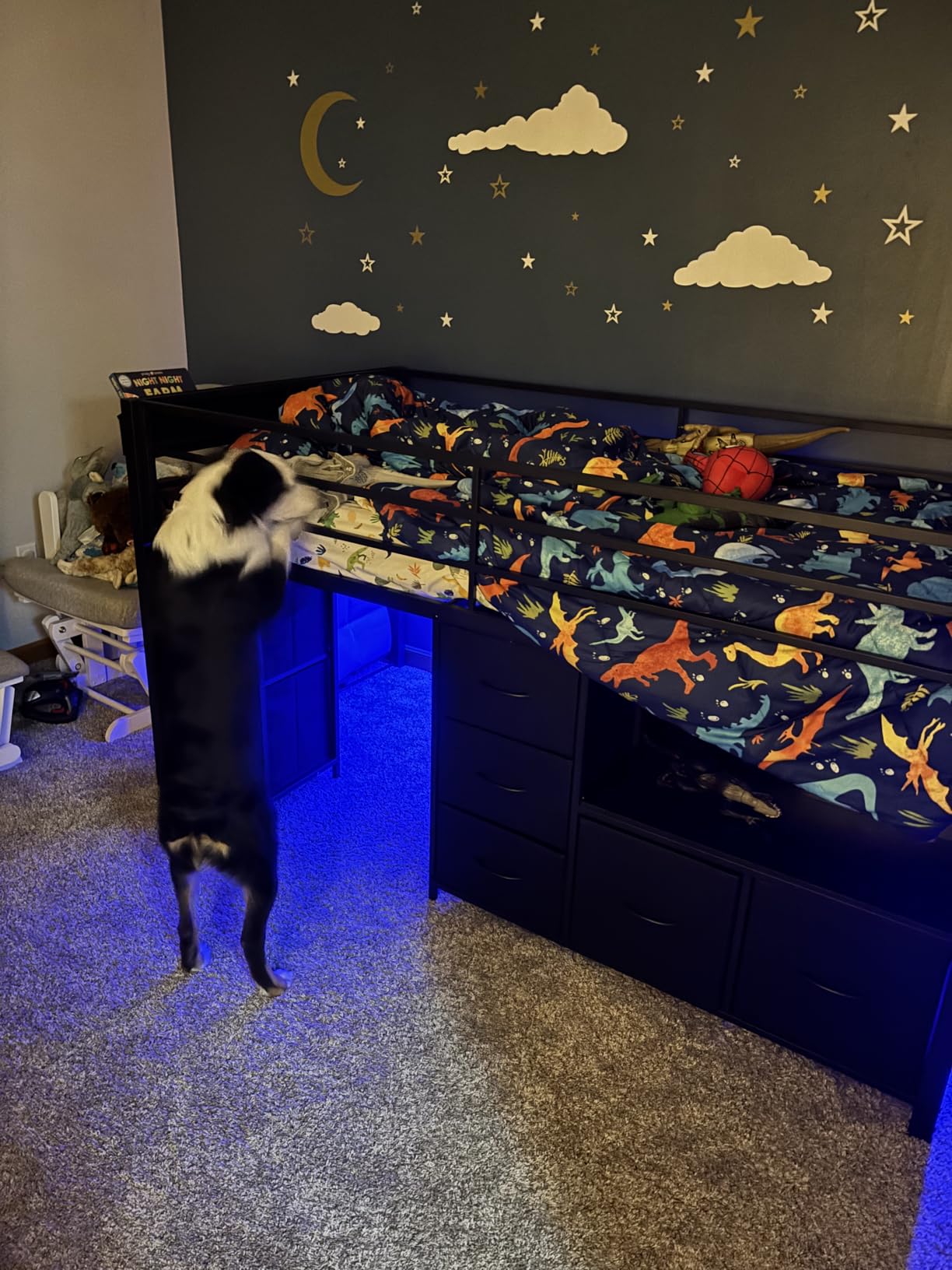 ADORNEVE Kids Low Loft Bed Twin Size with 7 Drawers, Bookcase, LED Lights customer photo 2