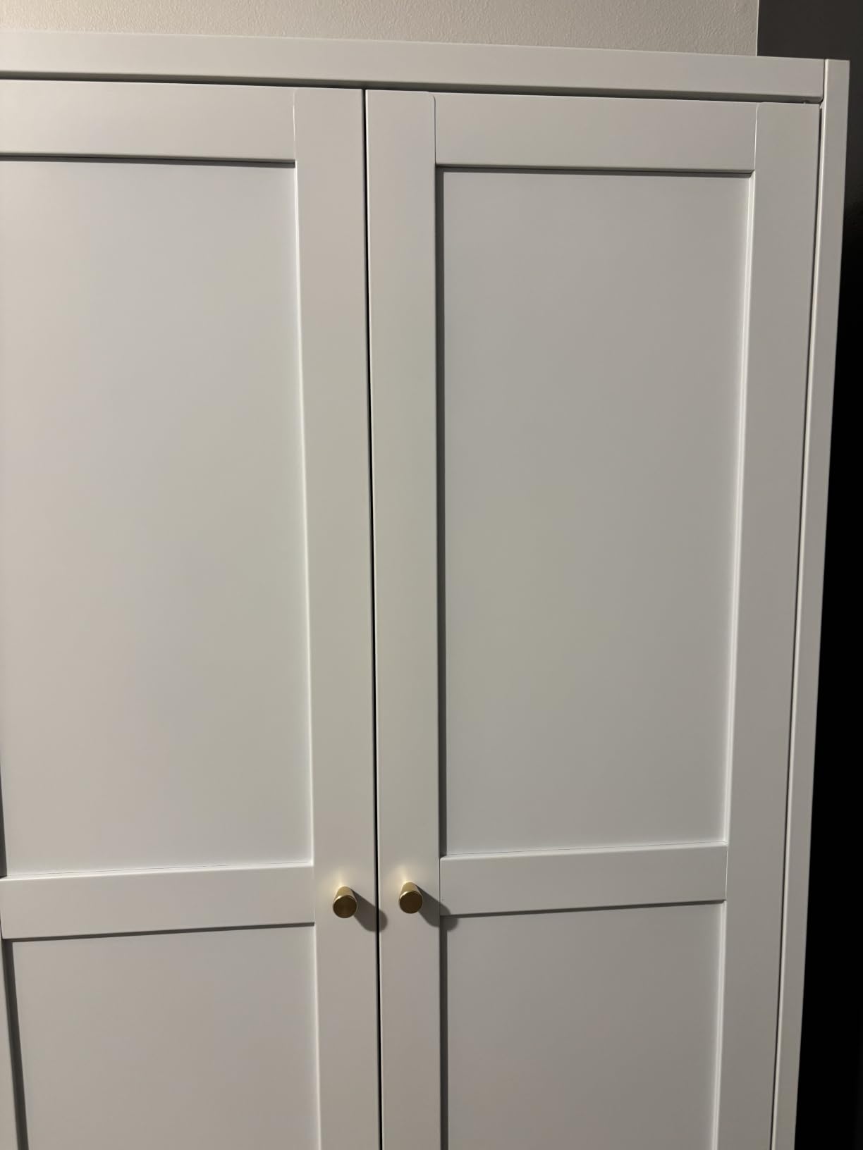 Black Tall Pantry Cabinet Kitchen Metal Garage Storage Cabinet Cupboard 75