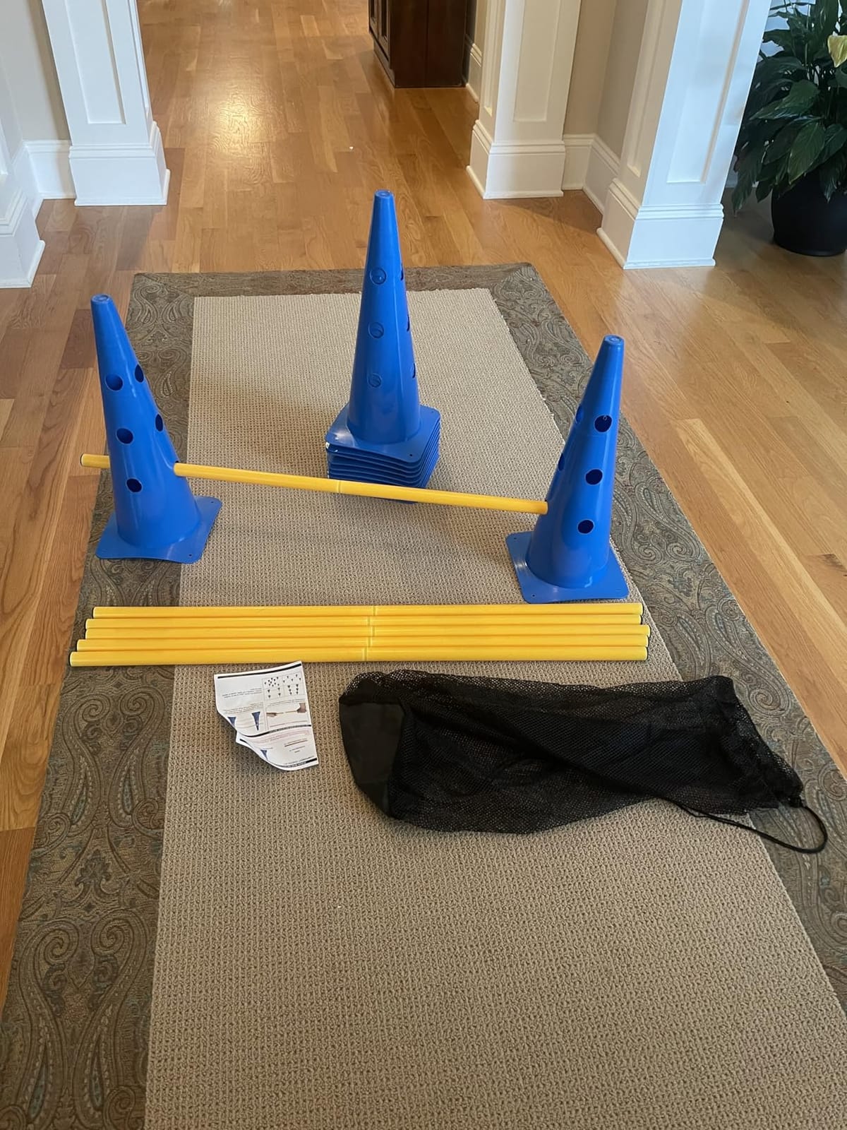 Dog Agility Course Backyard Set, Dog Agility Hurdle Cone Set with Height Adjustable Crossbar for Rehabilitation & Beginners, Dog Agility Equipment for Dog Obstacle Course - 12 Inch customer photo 1