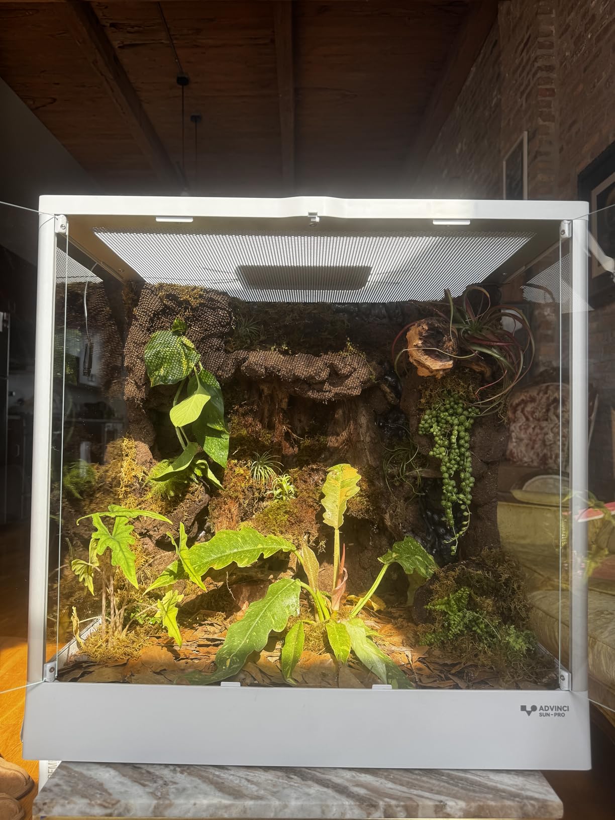 Reptile Terrarium 18