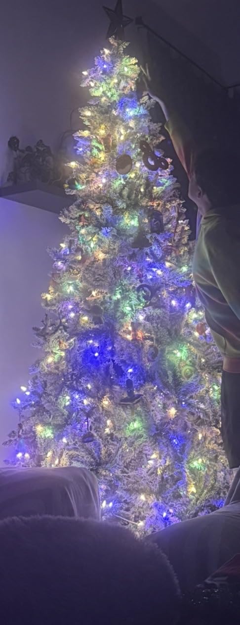 6 FT Pre-lit Christmas Tree Spruce with Remote Control, 300 Warm White Multi-Color Changing LED Lights, Artificial Hinged/Feel Real/Realistic for Home, Holiday Decoration Dual Color LED customer photo 1