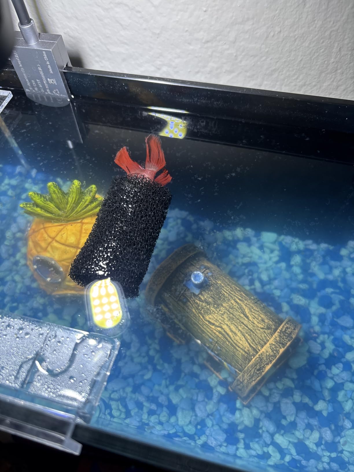 Betta Fish Tank kit,Small Nano Glass Fish Tank Start Kit with Filter,LED Light for Shrimp,Small Fish,Betta (1.5 Gallon) customer photo 1