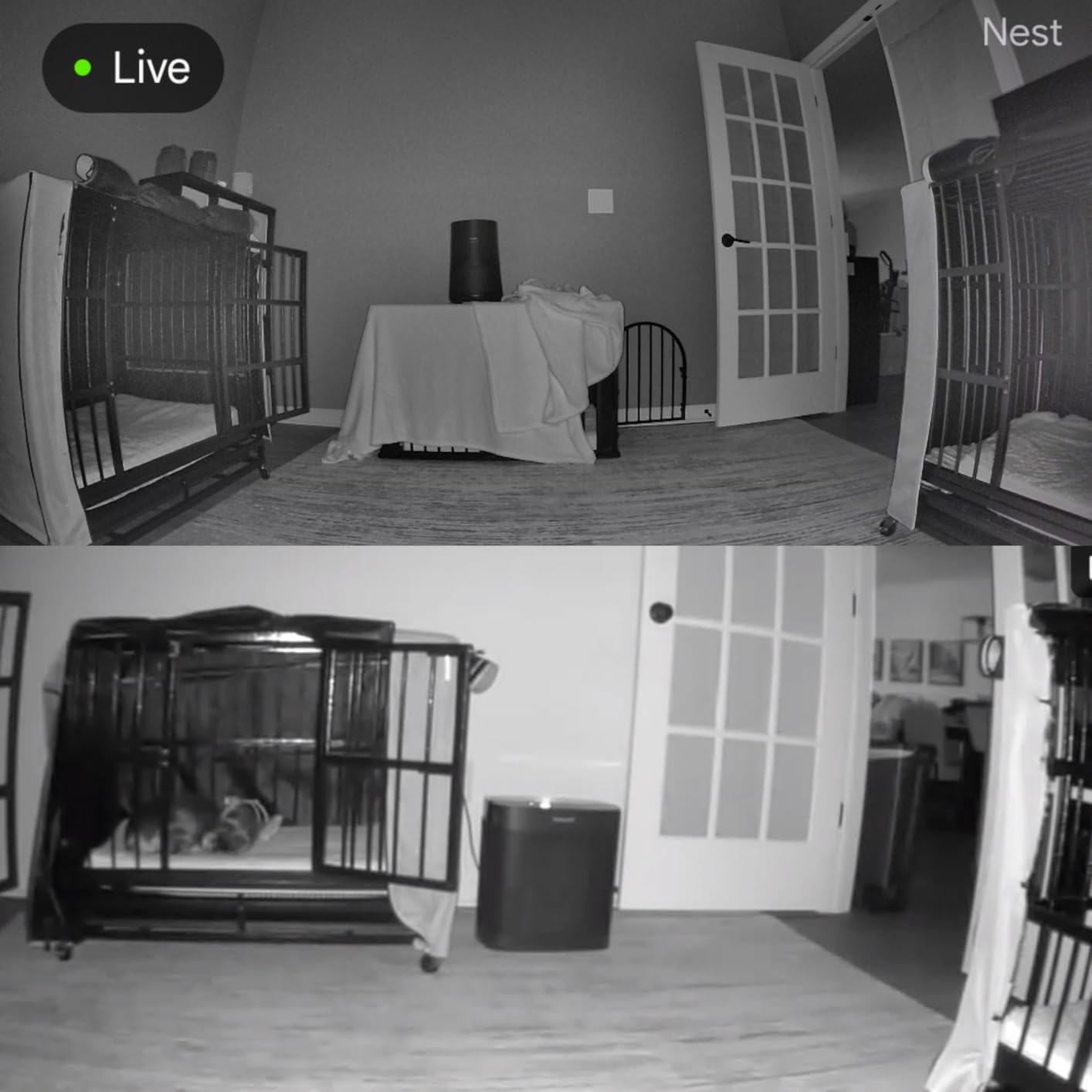 Google Nest Cam Indoor (Wired, 3rd Gen) - 2025 - Snow | 2K video, motion detection, color night vision, 2-way audio, works with Google Home and Gemini, intelligent alerts customer photo 2