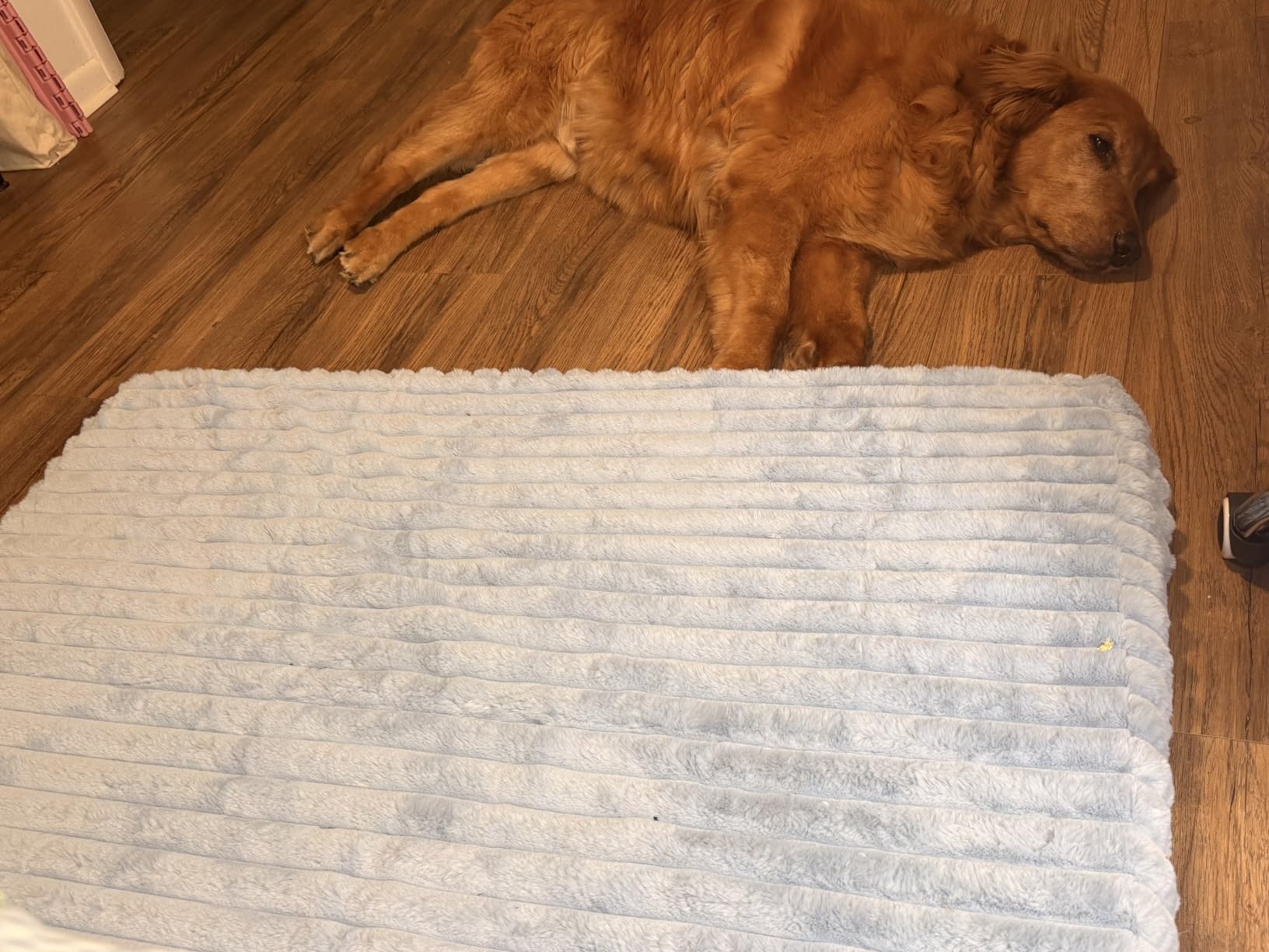 Dog Beds for Large Sized Dog, Orthopedic Foam with Waterproof Lining | Egg crate foam for joint support. Soft plush surface. Non-slip bottom. Removable & machine washable cover. OEKO-TEX certified customer photo 1