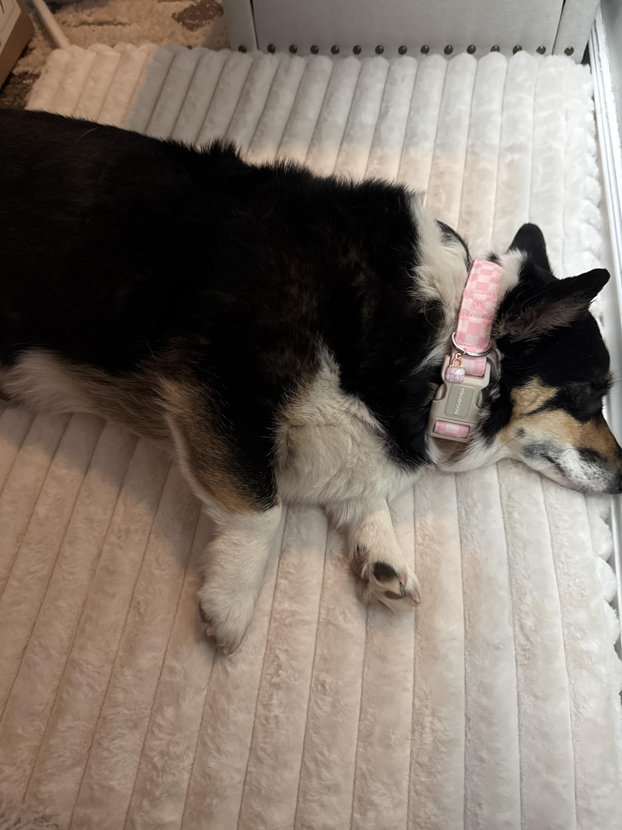 Dog Beds for Large Sized Dog, Orthopedic Foam with Waterproof Lining | Egg crate foam for joint support. Soft plush surface. Non-slip bottom. Removable & machine washable cover. OEKO-TEX certified customer photo 2