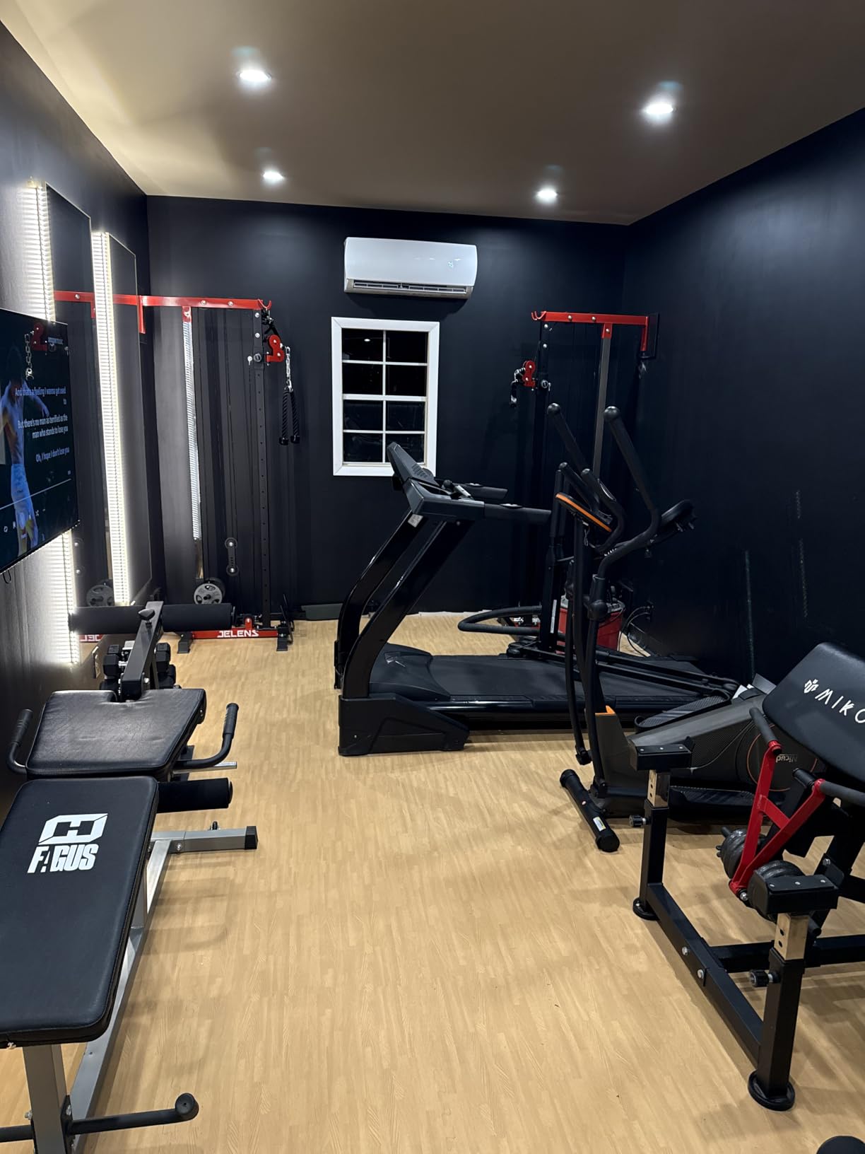 JELENS RC01 2 in 1 Rowing Cable Machine, Wall‑Mounted LAT Pulldown Machine, 16 Adjustable Positions, Home Gym Pulley System with Training Attachments customer photo 1