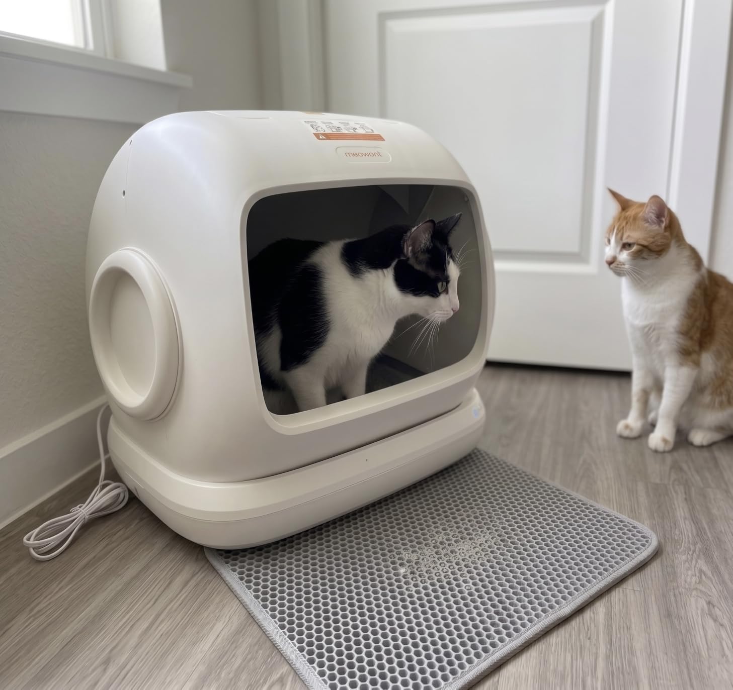 Meowant Self-Cleaning Cat Litter Box, 106L Large Capacity for Multiple Cats | Anti-Pinch Automatic Cat Litter Box, Low Entrance, Safety Sensor Protection, APP Control, Health Monitor, Odor Free, Ultra Quiet customer photo 1