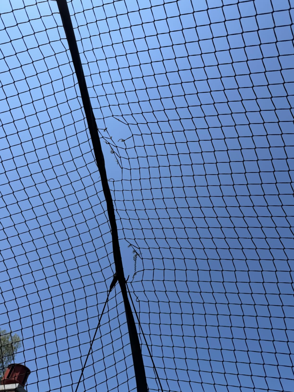 VEVOR Baseball Batting Cage,Carbon Steel/Fiberglasss Portable Batting Cage customer photo 1