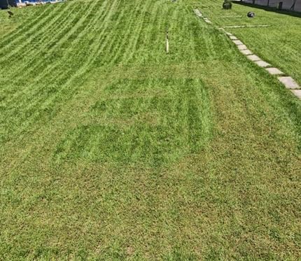 Sunseeker S4 Robot Lawn Mower, 3D LiDAR, Vision AI, 0.25 Acre, Wire-Free customer photo 2