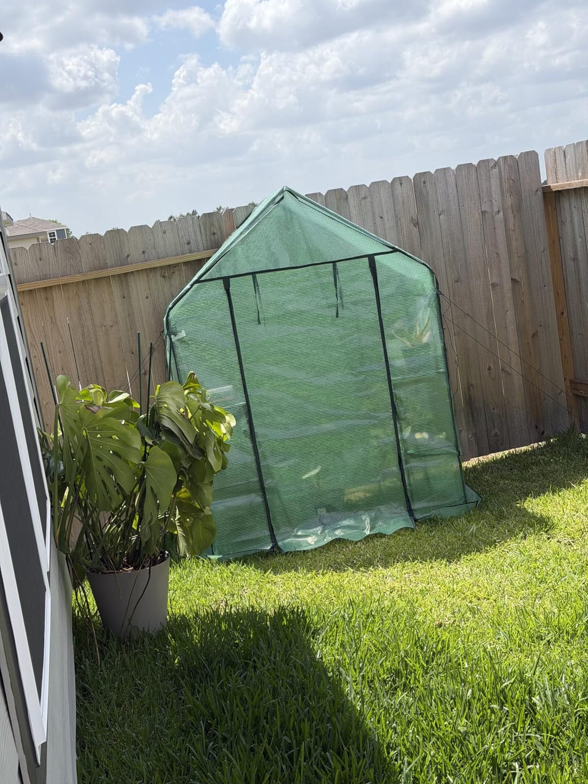 Ohuhu Plastic Greenhouse for Outdoors: Portable Walk in Plant Green House with Improved Transparent PVC Cover, 3 Tiers 12 Shelves Stands Small Greenhouses Backyard Green Houses for Outside Heavy Duty customer photo 1