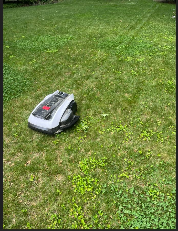 ECOVACS Goat O1000 LiDAR PRO Robot Lawn Mower, Wire-Free Mapping with LiDAR Navigation, AI Obstacle Avoidance, Smart Edge Mowing, App Control, for Lawns Up to 1/4 Acre customer photo 2