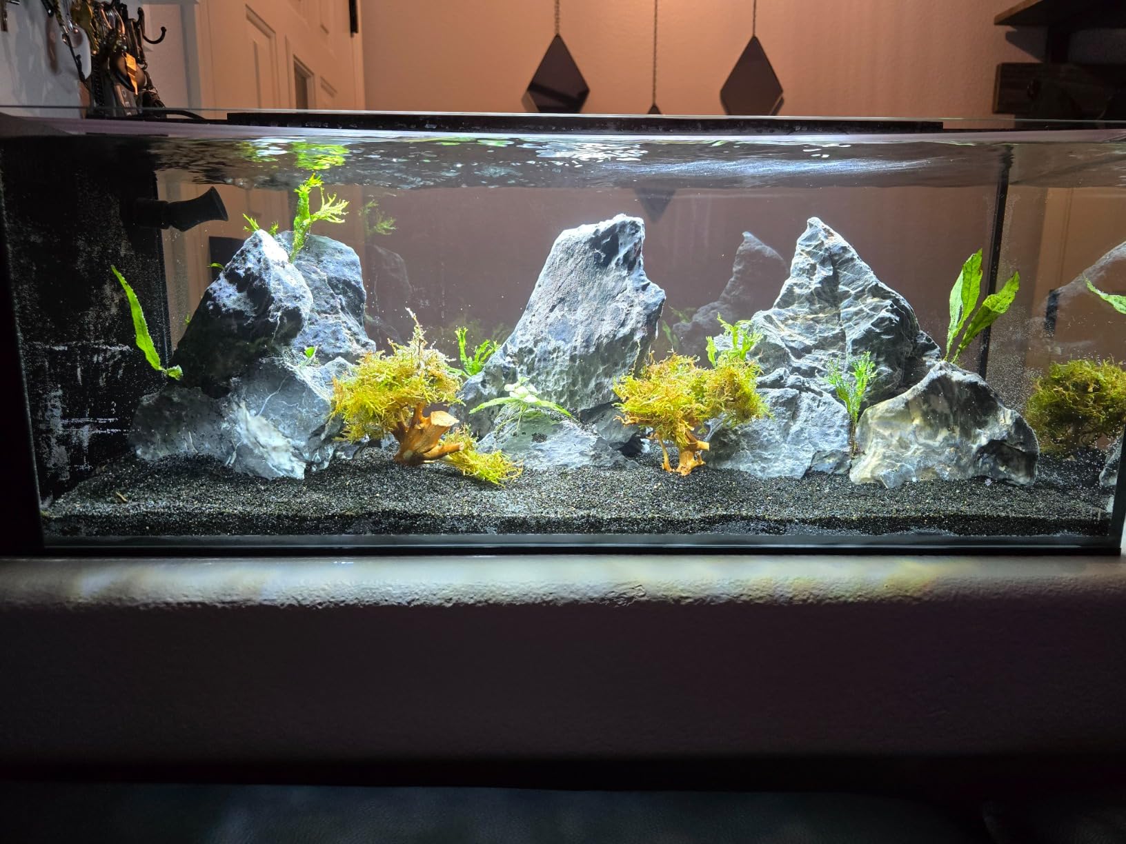 Ultum Nature Systems Dual AIO - Freshwater/Saltwater Compatible, All in One Rimless Tank with Triple Chamber Filtration System, Integrated Filter Aquarium with Leveling Mat - 6 Gallon, 45SA, Black customer photo 1