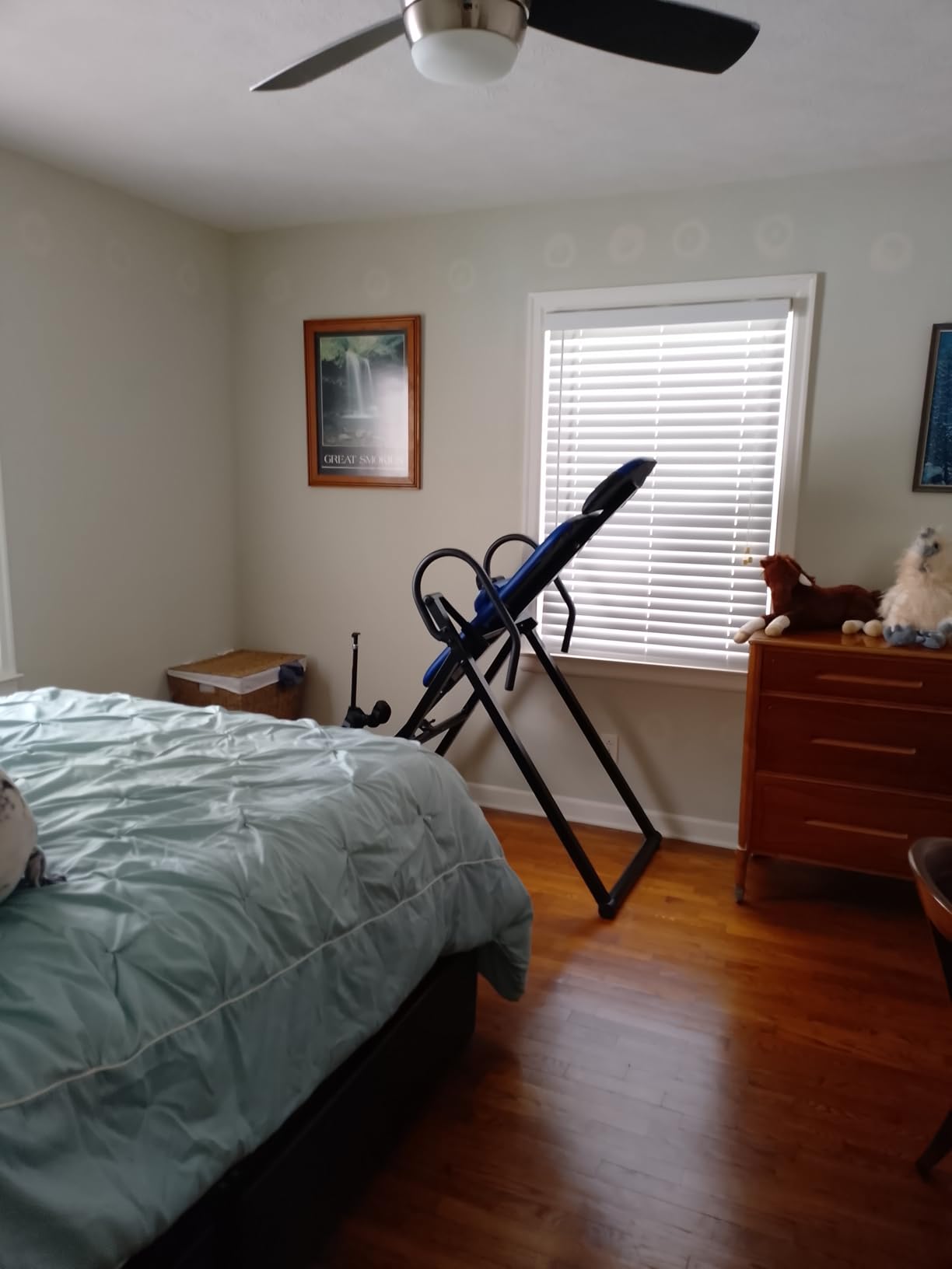YOLEO Inversion Table for Back Pain w/Removable Lumbar Pad ITX320 customer photo 2
