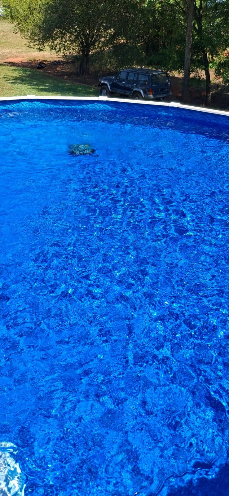Wybot C2 Cordless Pool Vacuum for Inground Pools, Pool Cleaner Robot | 10+180μm Dual Filter, Once Cleaning 2152 Sq.ft, App Control, Cleans Pool Walls, Auto Parking on Low Battery customer photo 2