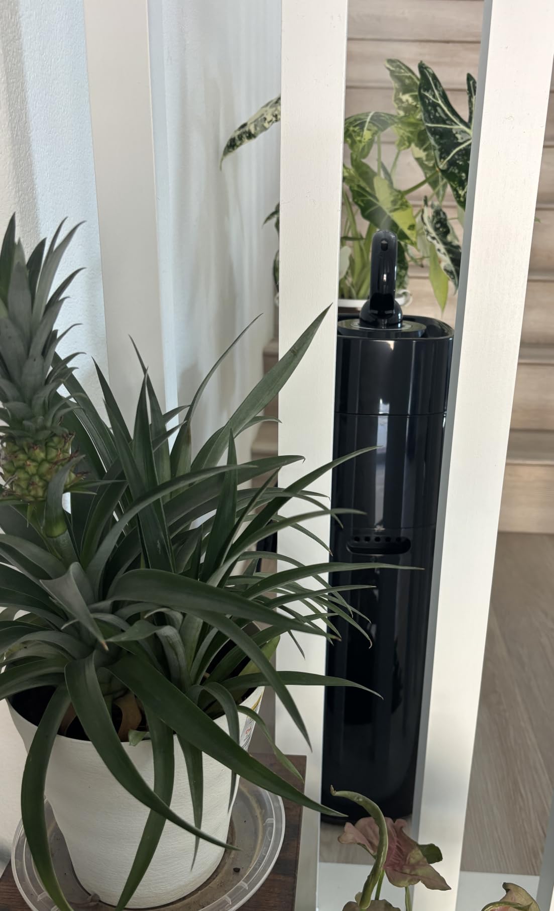 Humidifiers for Bedroom, 15L/3.96 Gal 800 sq.ft, Cool Mist Humidifier Large Room with 350mL/H Spray Output for Home, Office, Plants, Warehouse, House customer photo 2