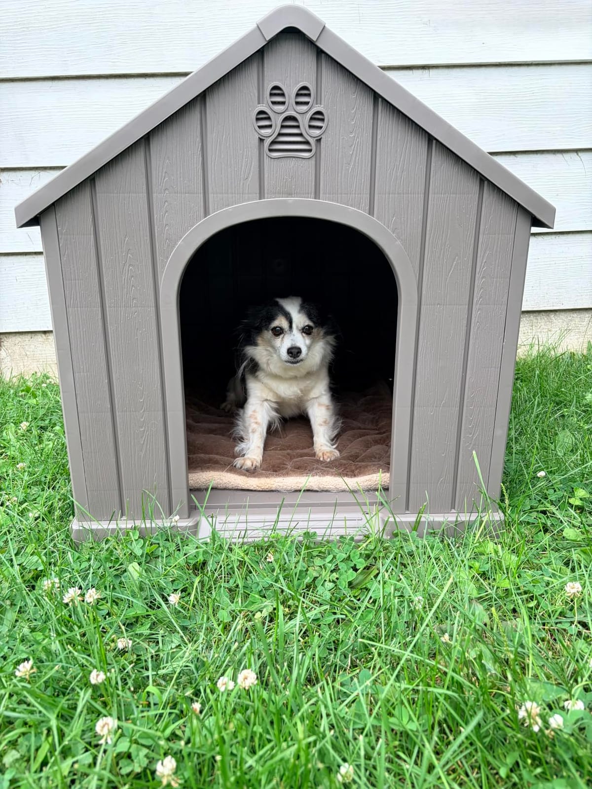 Fancyango Large Dog House for Medium to Large Dogs – Sturdy Waterproof Doghouse for Indoor/Outdoor Use with Air Vents and Elevated Floor Easy to Clean and Assemble (Classic Grey, 36.2