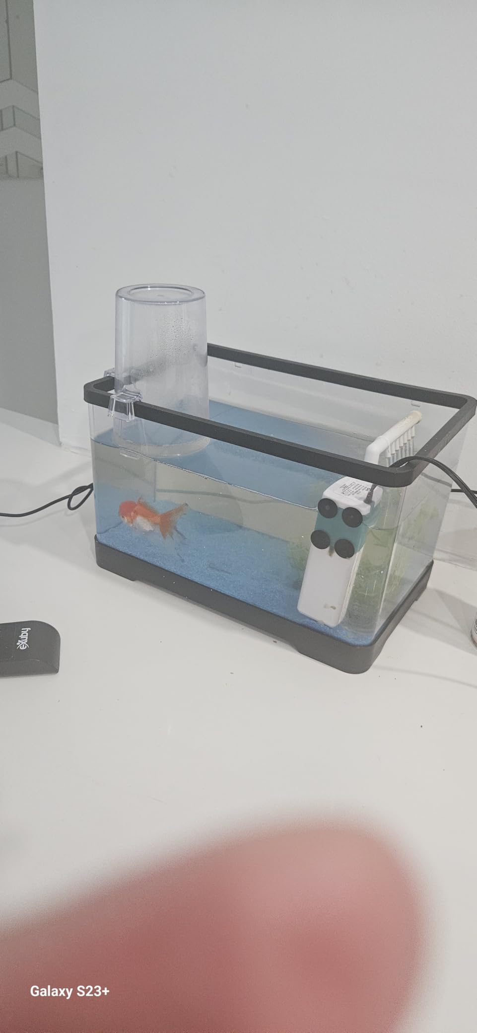 1.5 Gallon Betta Fish Tank Kit, Small Aquarium Starter Kit with Quiet Filter, LED Light & Decorations, Crystal Clear Acrylic Nano Desktop Aquarium for Shrimp, Guppy, Office Home Decor customer photo 1