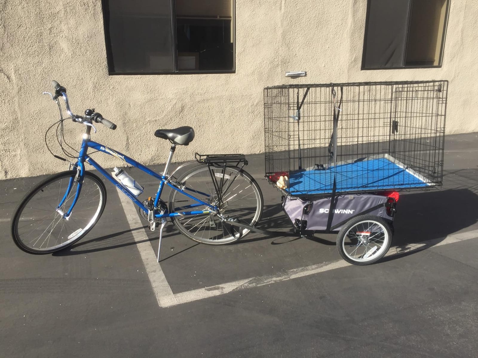 Schwinn Daytripper Bike Cargo Trailer, Holds up to 100 lb, Universal Coupler, Folding Frame, Quick-Release Wheels, 16-Inch Air-Filled Tires, Interior D-Rings, Schwinn Bike Trailer for Carrying Cargo customer photo 2