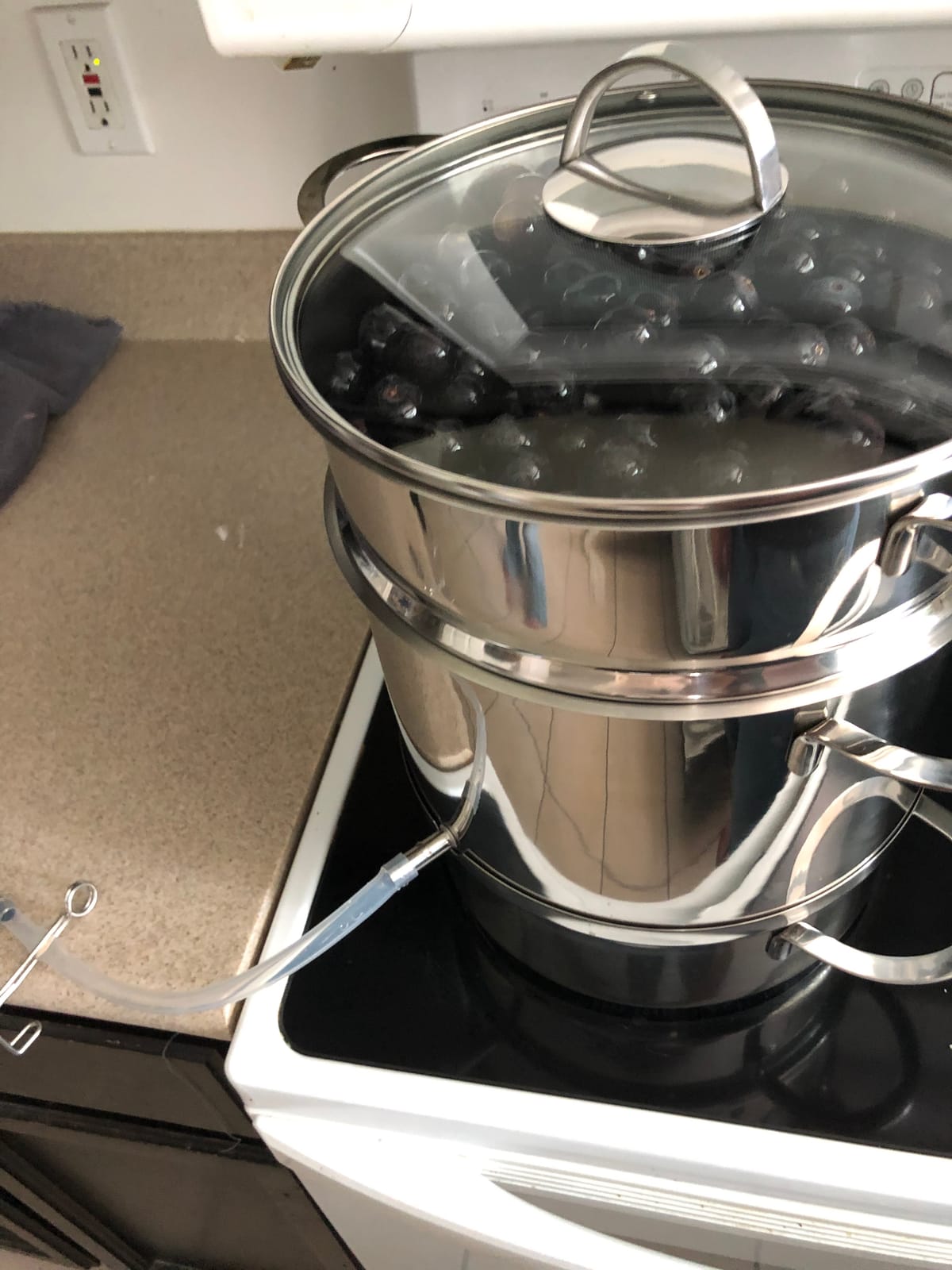 Mr Rudolf Steam Juicer (11 Qt) customer photo 1