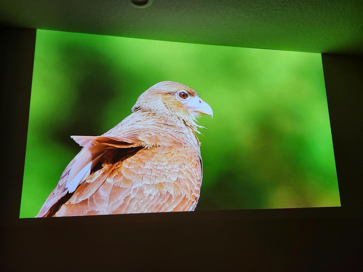 Dangbei Atom Portable Laser Projector, Google TV with Official Netflix, 1200 ISO Lumens, 180