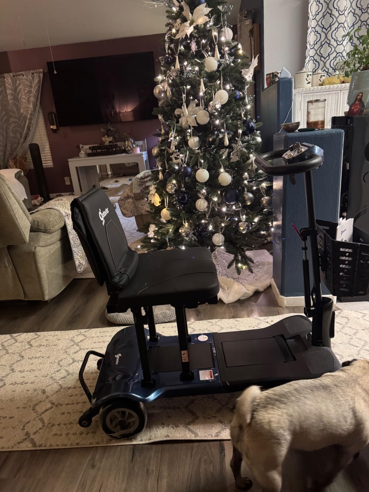 Aotedor Mobility Scooter for Adults, 36 lbs Travel Scooter, Dual Batteries customer photo 1