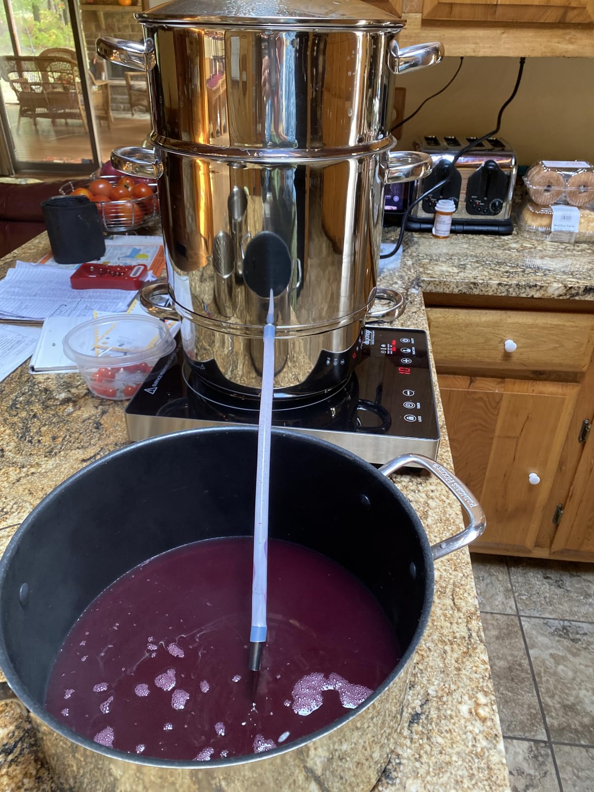 VIVOHOME Stainless Steel Steam Juicer for Canning Fruit and Grape Juice customer photo 1