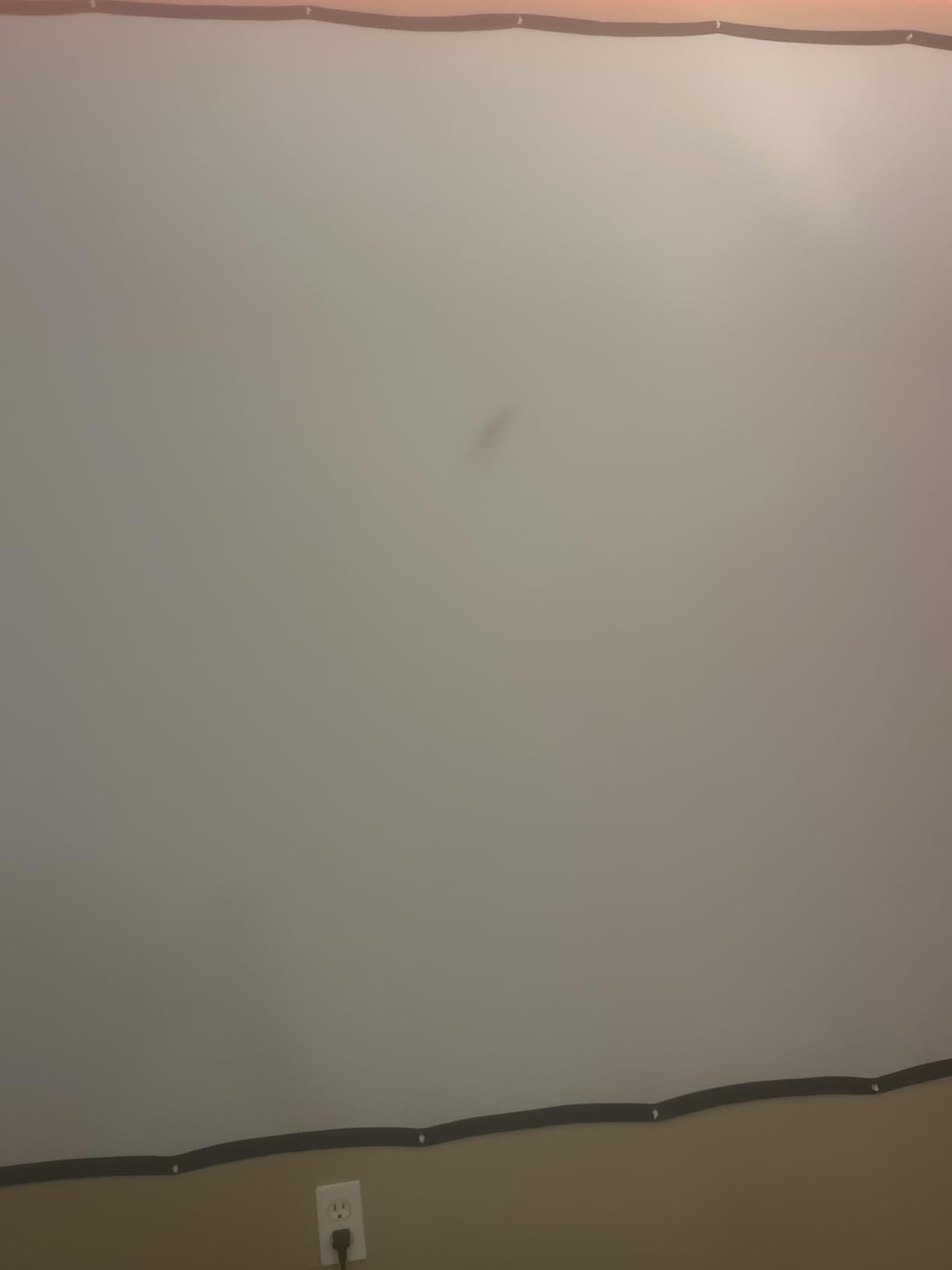 100 Inch Projector Screen with Black Backing, Foldable 16:9 customer photo 2