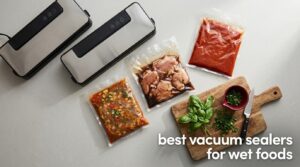 best vacuum sealers for wet foods